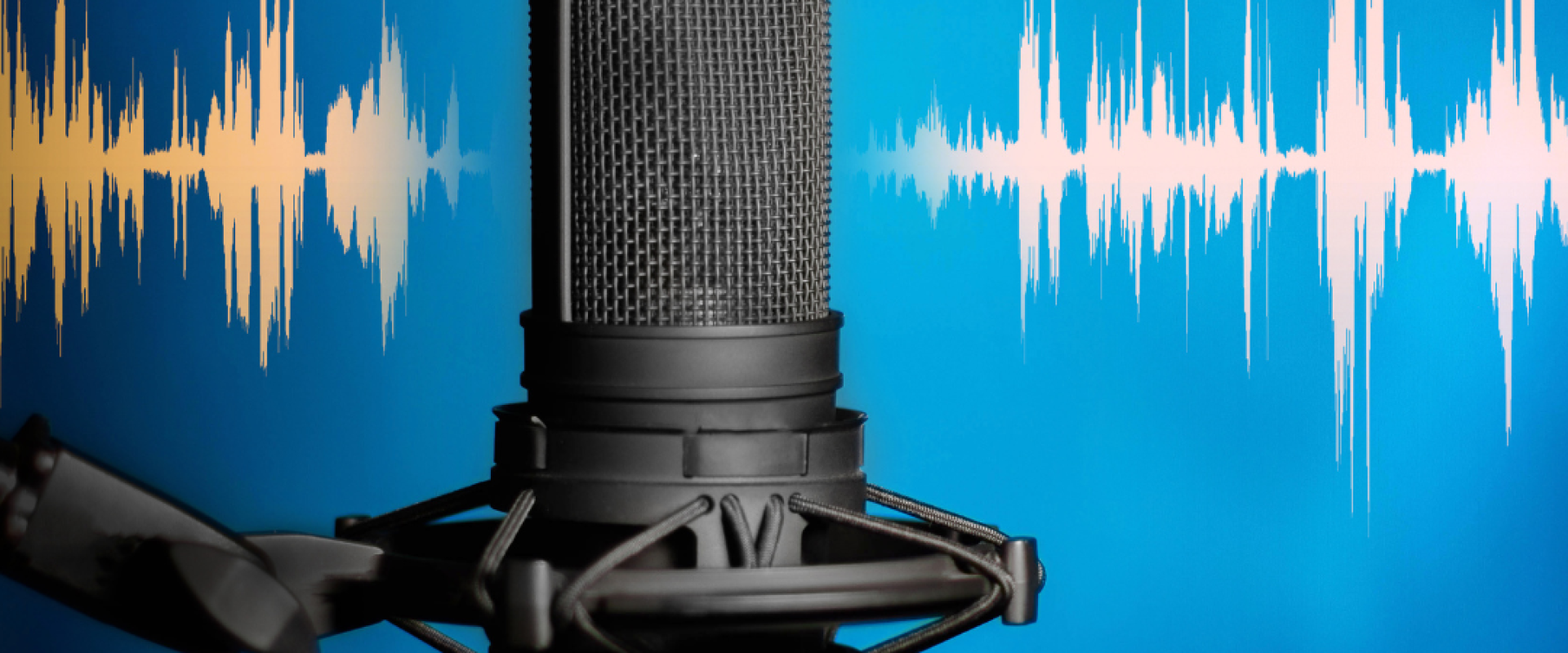 record studio asheville nc Hokiemas